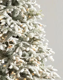 Árvore de Natal Nevada Frosted Fraser com Galhos Articulados, Suporte Metálico e Micro LEDs Embutidos
